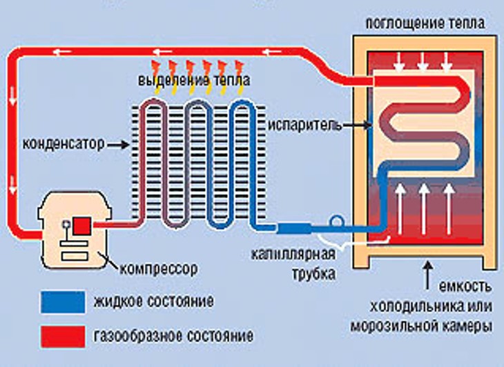 Com funciona la nevera: el principi i l’esquema de treball dels equips de refrigeració de diversos tipus
