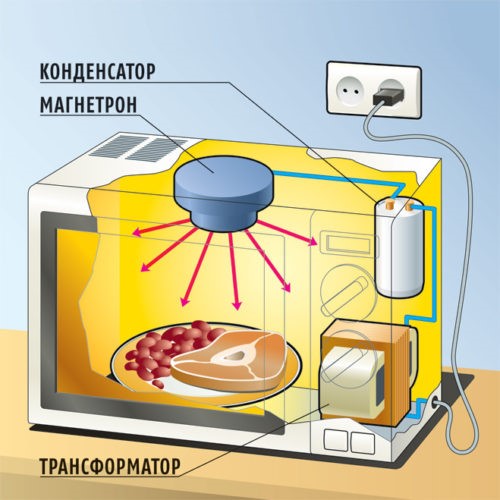 El principi de funcionament del forn microones i com triar el dispositiu adequat