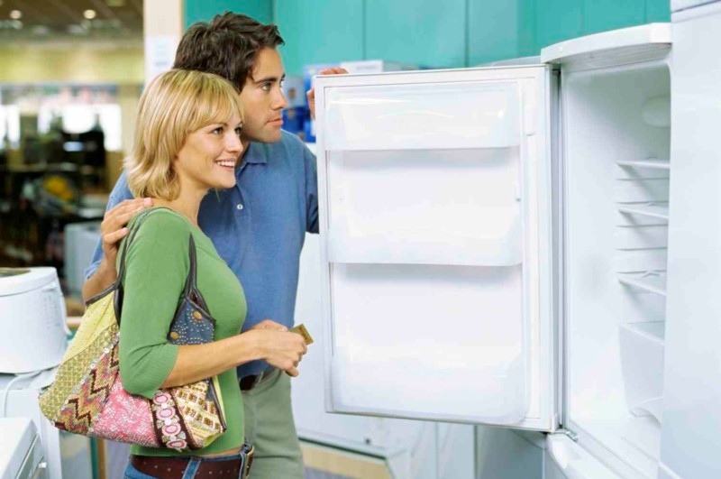 : Aling refrigerator ang mas mahusay: solong-tagapiga o dalawang-tagapiga - ang mga pagkakaiba at bentahe ng bawat uri