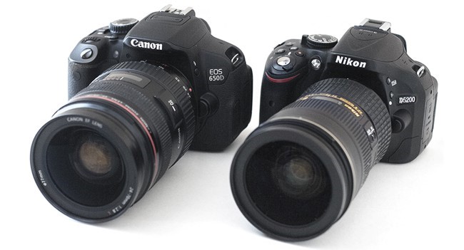 Nikon ou canon: quel reflex est le meilleur et comment faire un choix?