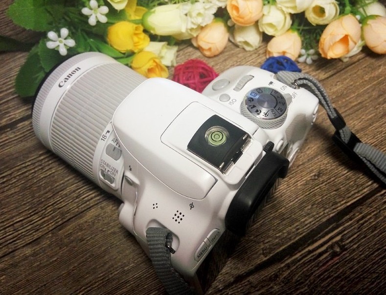 Quelle est la meilleure photocaméra Canon ou Nikon?