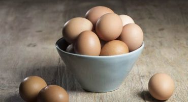 Vurdering av de beste eggene og deres sorter